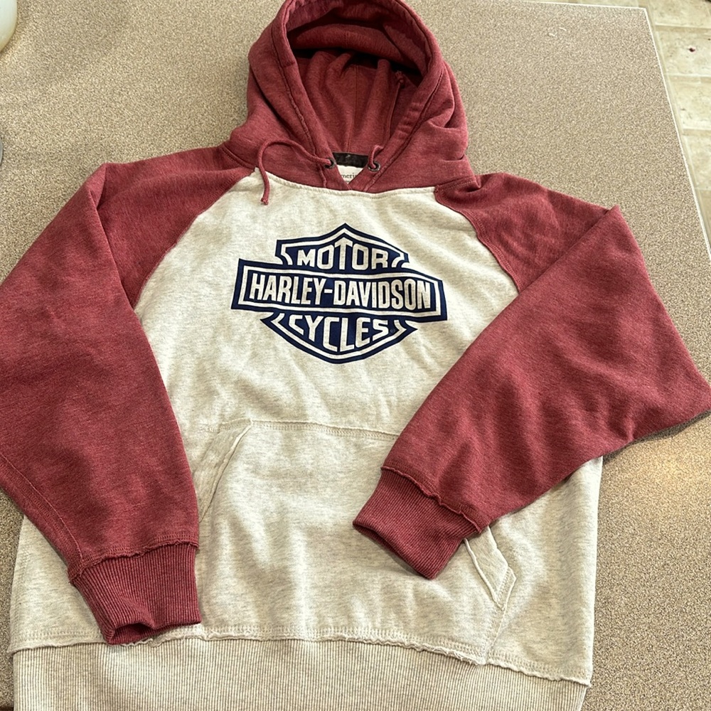 Harley-Davidson hoodie unisex